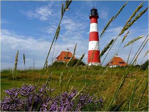 Westerhever 2009