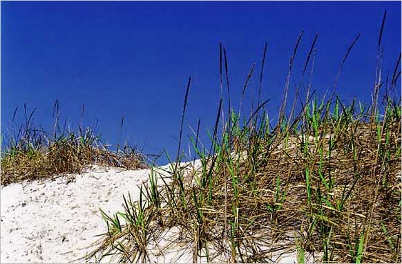 St. Peter-Ording, Utholm 2004