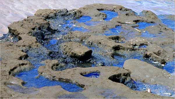 St. Peter-Ording 2006