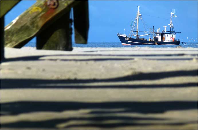 Krabbenkutter vor St. Peter-Ording 2012