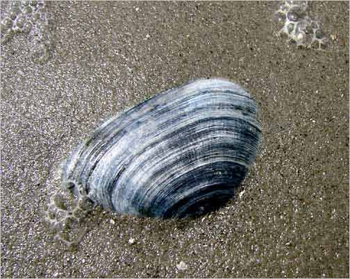 St. Peter-Ording 2006