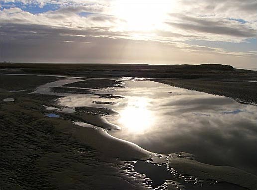 St. Peter-Ording 2008, Foto Dieter Kra