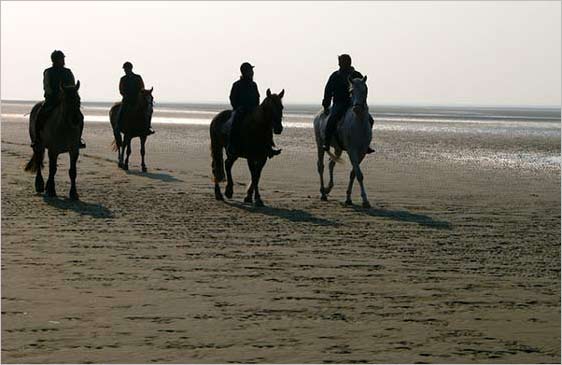 St. Peter-Ording, Bhler Strand 2005