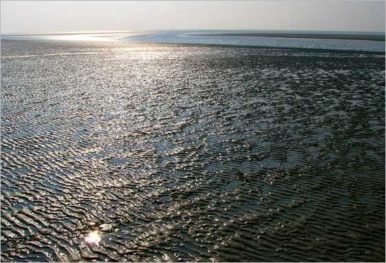 St. Peter-Ording, Bhler Watt 2005